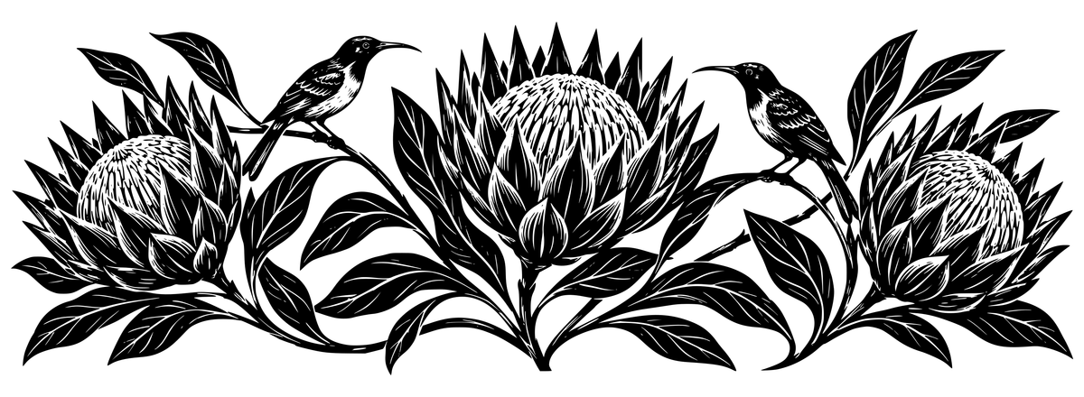 Cape Protea & Sunbirds - flat black-and-white panoramic laser engraving artwork. Three protea-inspired flowers and two curved-beaked sunbirds form a flowing botanical scroll.