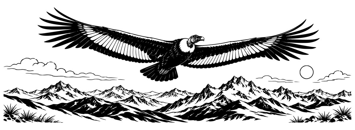 Condor of the High Andes - flat black-and-white panoramic laser engraving artwork. A single condor with fully spread wings and a pale neck ruff soars above layered mountains, clouds and an outlined sun.