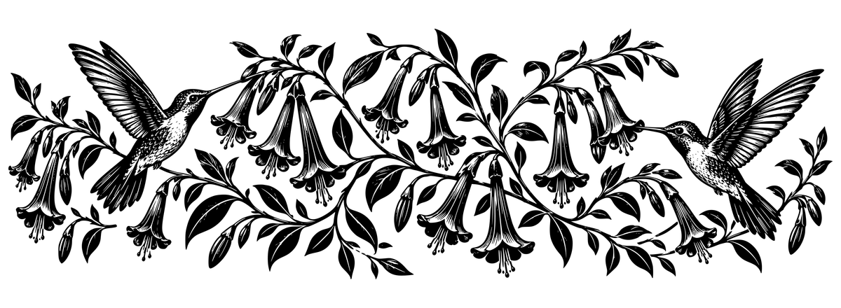 Hummingbird & Cantuta Garden - flat black-and-white panoramic laser engraving artwork. Two hummingbirds hover among hanging trumpet-shaped flowers and curling leafy branches in a wide botanical scroll.