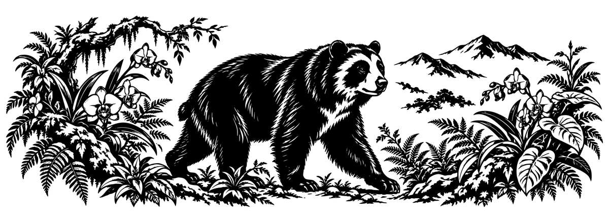 Andean Bear Cloud Forest - flat black-and-white panoramic laser engraving artwork. A walking bear with pale facial markings is framed by orchids, ferns, broad leaves and a mossy branch, with mountain peaks behind.