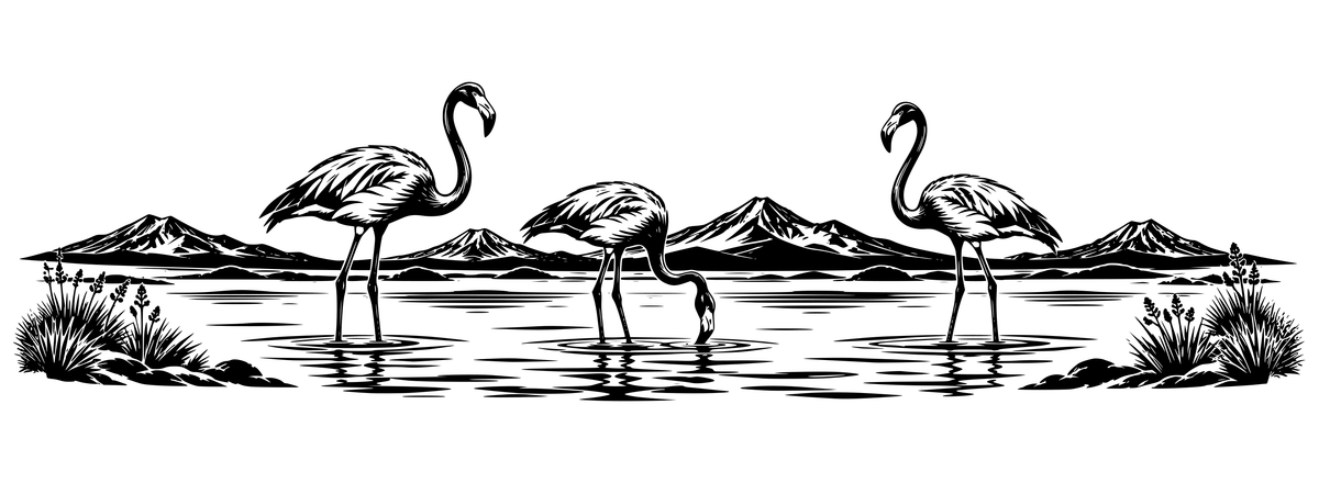 Puna Flamingo Reflections - flat black-and-white panoramic laser engraving artwork. Three flamingos stand in rippling lagoon water, one lowering its bill to feed, with volcanic peaks and sparse grasses behind.