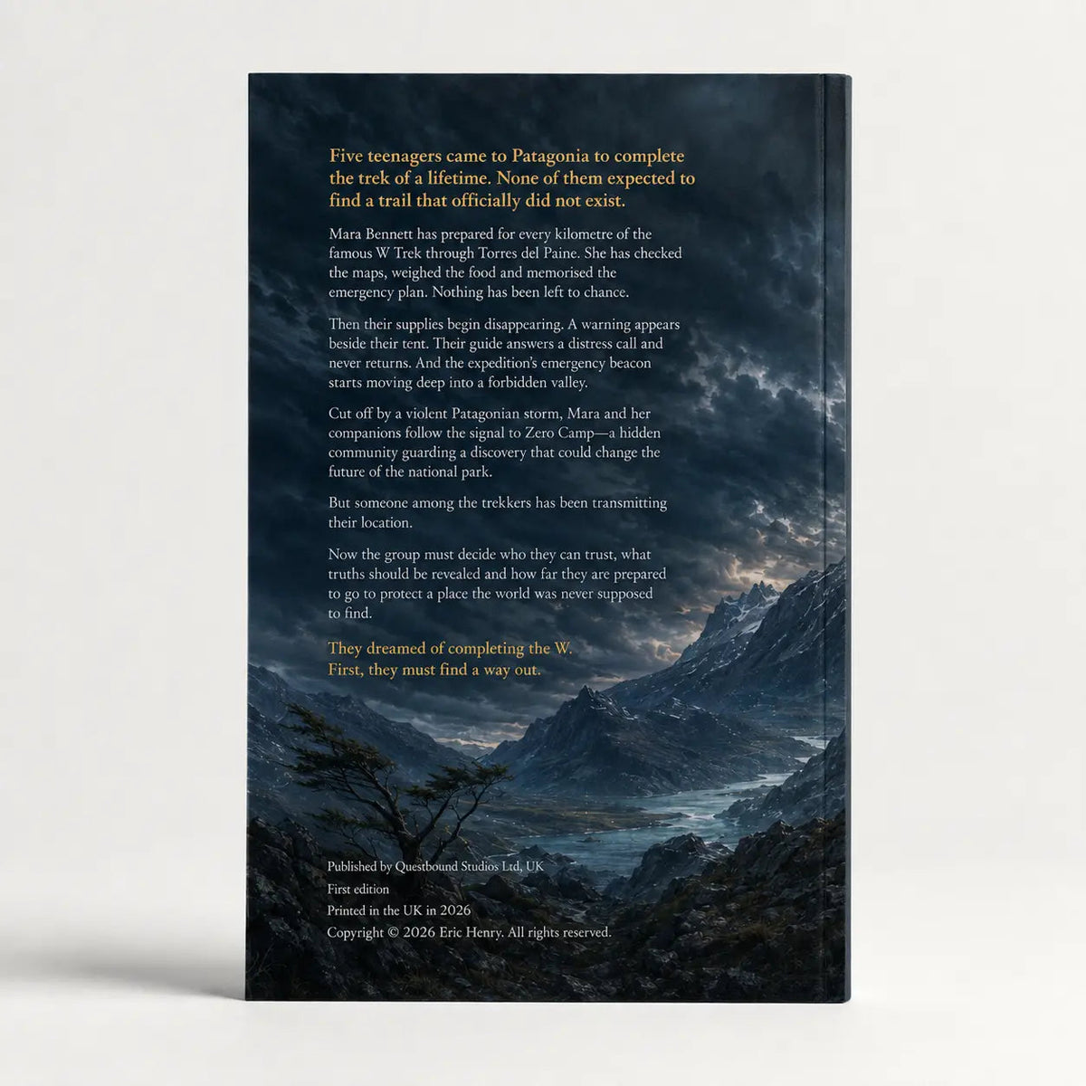 Beyond the W – A Torres del Paine Mystery (Paperback, Reading Age 10-16) Quesbo