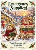 Emergency Supplies Christmas Card — Cover