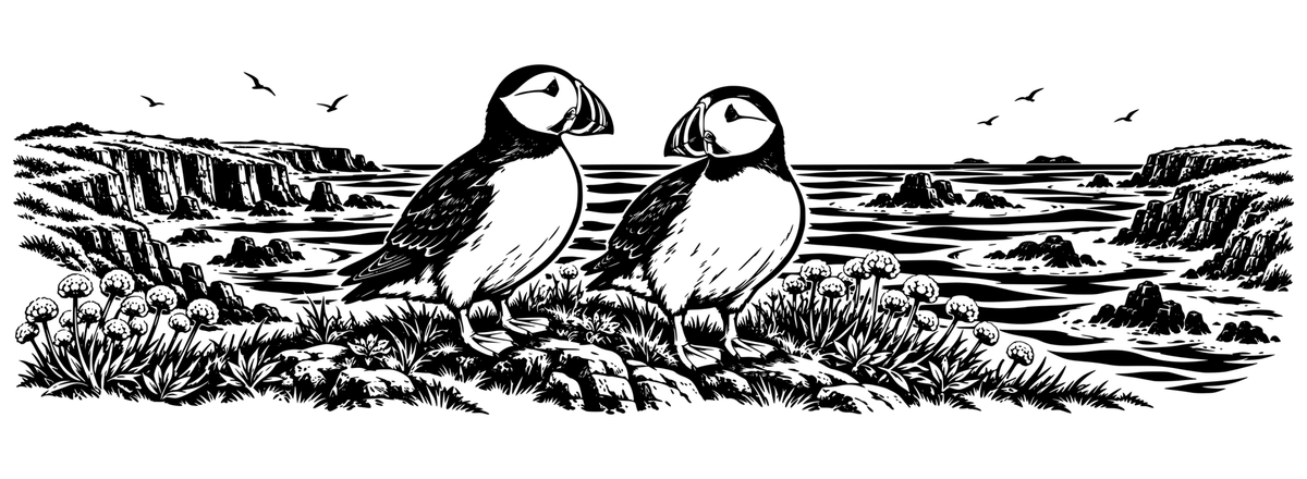 Isle of May Puffin Coast: black-and-white panoramic laser engraving artwork, design only.