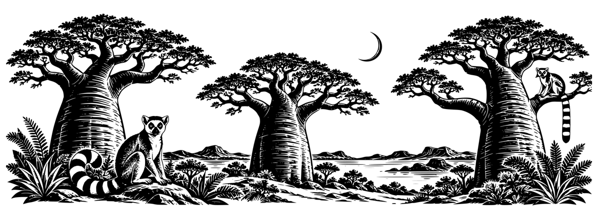 Madagascar Baobab Dream - flat black-and-white panoramic laser engraving artwork. Two ring-tailed lemurs sit among three prominent baobab trees beneath a crescent moon and above rocky scenery.