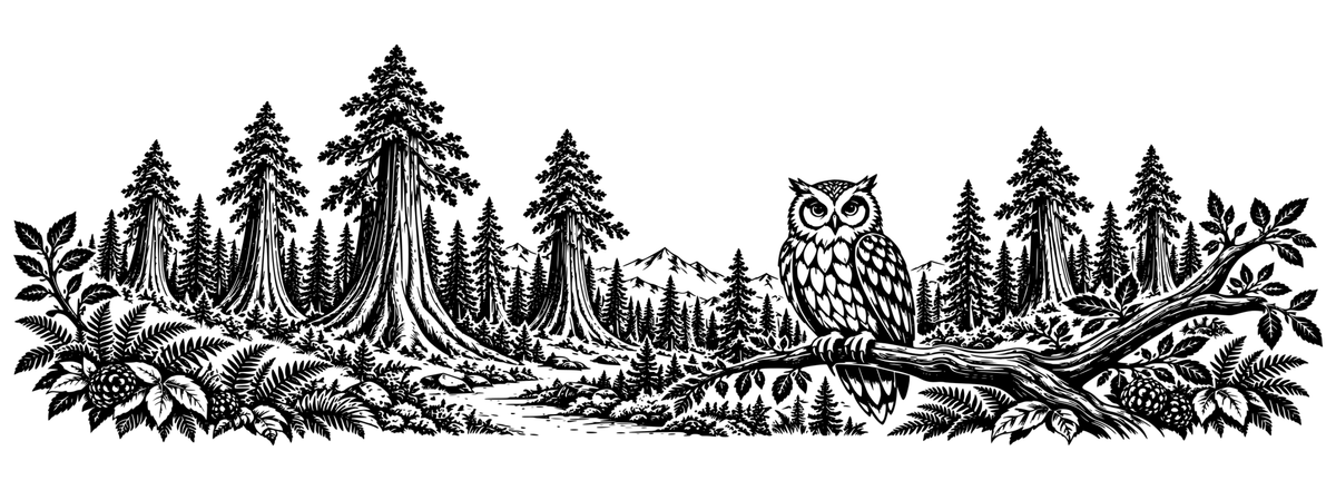 Sequoia Owl Sanctuary: black-and-white panoramic laser engraving artwork, design only.