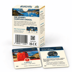 Back of The Long Way South game box beside Fuel and Snow Chains cards on a white background.