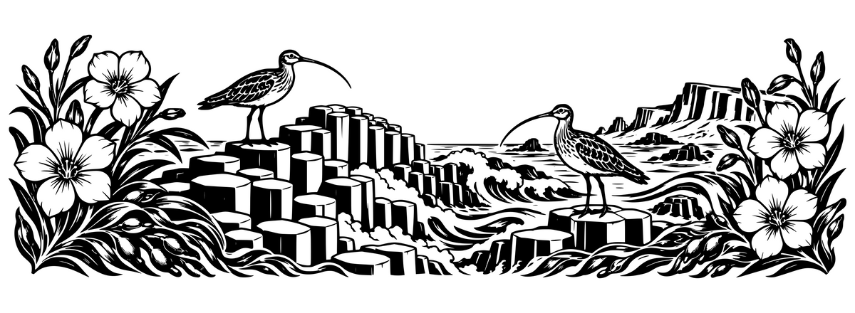 Causeway & Flax Lace — flat black-and-white panoramic laser engraving artwork. Northern Ireland-inspired basalt columns, curling sea waves, curlews and delicate flax flowers.